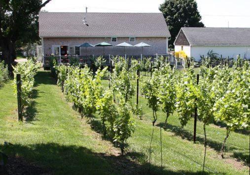 The Langworthy Inn & Winery Westerly Buitenkant foto
